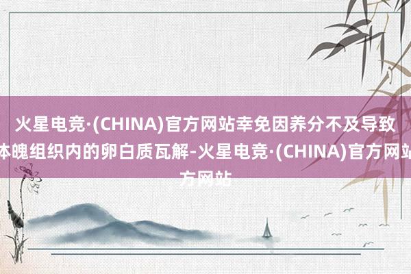 火星电竞·(CHINA)官方网站幸免因养分不及导致体魄组织内的卵白质瓦解-火星电竞·(CHINA)官方网站
