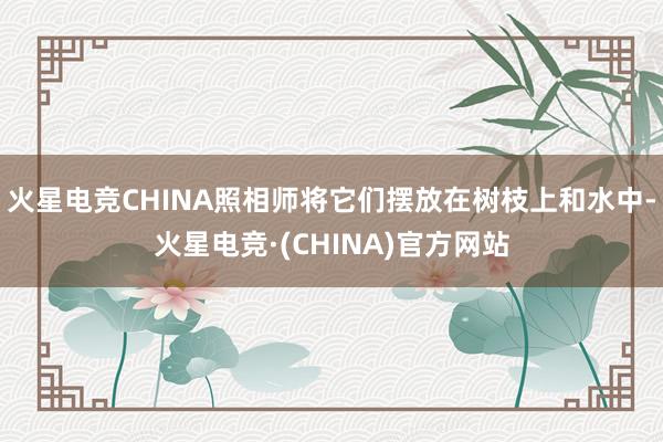 火星电竞CHINA照相师将它们摆放在树枝上和水中-火星电竞·