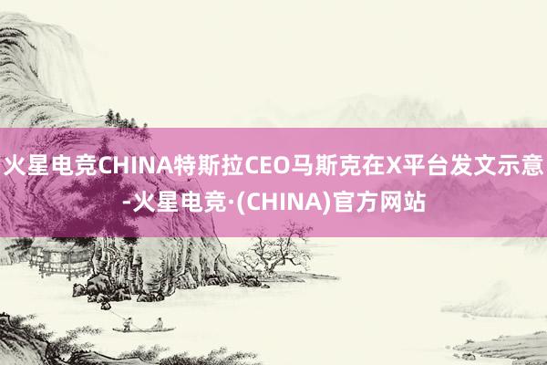 火星电竞CHINA特斯拉CEO马斯克在X平台发文示意-火星电