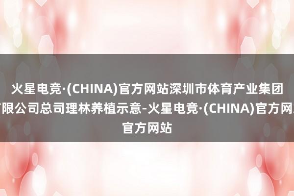 火星电竞·(CHINA)官方网站深圳市体育产业集团有限公司总