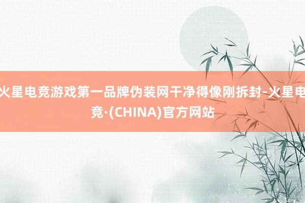 火星电竞游戏第一品牌伪装网干净得像刚拆封-火星电竞·(CHI