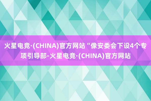 火星电竞·(CHINA)官方网站“像安委会下设4个专项引导部
