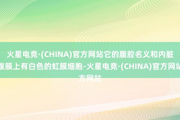 火星电竞·(CHINA)官方网站它的腹腔名义和内脏腹膜上有白